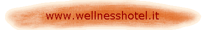 www.wellnesshotel.it